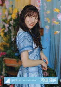 ★日向坂46　「君はハニーデュー」MV衣装　河田陽菜　生写真