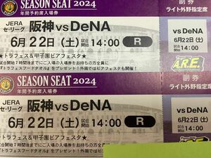 6|22( earth ) Hanshin vsDeNA Koshien light out . designation seat pair [ through . side close good seat ]