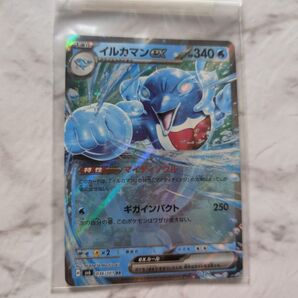 【新品未使用】 ポケモンカード イルカマンex RR