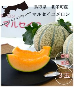 【厳選朝摘み】鳥取県北栄町産『マルセイユメロン』秀品3玉