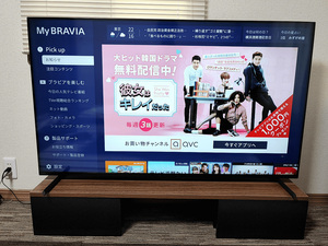 5月末購入 XRJ-55X90L SONY BRAVIA 55インチ液晶最上位モデル 2023年モデル 超美品