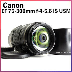 ★224 キャノン Canon EF 75-300mm f4-5.6 IS USM フード付き ET-64Ⅱ