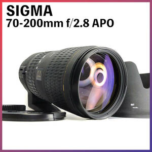 ★256 シグマ SIGMA AF 70-200mm f2.8 APO ペンタックス PENTAX Kマウント