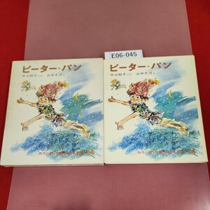 E06-045 ピーター=パン 14 カラー版 幼年文学 バリー 中山知子 偕成社 天に日付け印らしきもの有り 