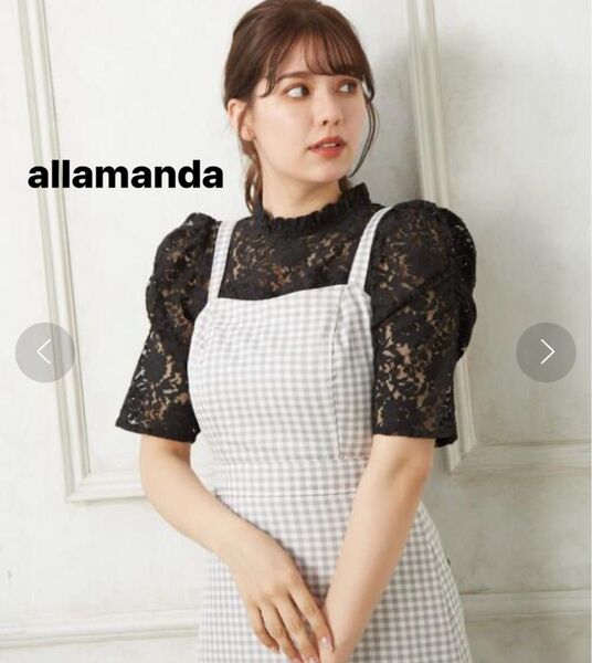 美品 allamanda ハイネックパワショルレーストップス