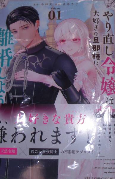 やり直し令嬢は、大好きな旦那様に離婚しようと言わせたい! 01