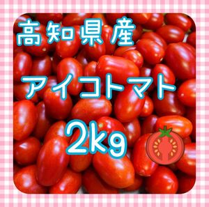 【新鮮！】アイコトマト　2kg