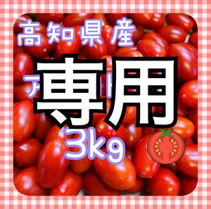 しずかさん専用【新鮮！】アイコトマト　3kg