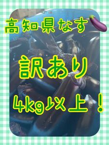 【訳あり】高知県なす　4kg以上！