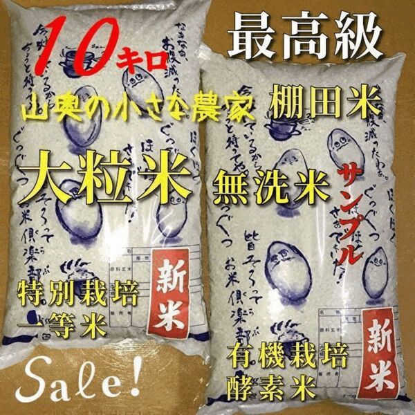 棚田米　ハイブリッド　大粒米　酵素米　玄米１０Kg「無洗米に精米」新米　コシヒカリ　つや姫　ミルキークィーン　ミルキークイーン