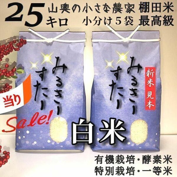 【超希少】ミルキースター　酵素米　玄米２５ｋｇ「標準白米に精米」棚田米　新米　米　無洗米　コシヒカリ　つや姫　ミルキークィーン