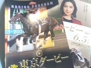 * free shipping * Tokyo City horse racing (TCK) [ no. 70 times Tokyo Dubey (Jpn1)] Racing Program 2 pcs. /re- Pro large . horse racing place / Nakamura Anne 