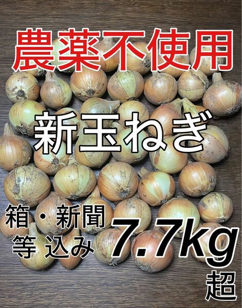 農薬不使用　玉ねぎ　たまねぎ　タマネギ　オニオン　野菜