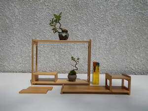  shohin bonsai полка витрины 4 пункт ( месяц .)