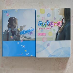 ナミダ色の恋　セツナイ片想い と太陽みたいなキミの2冊（ケータイ小説文庫　