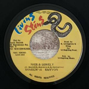 Shaggy & Rayvon Nice & Lovely 7インチ アナログ レコード