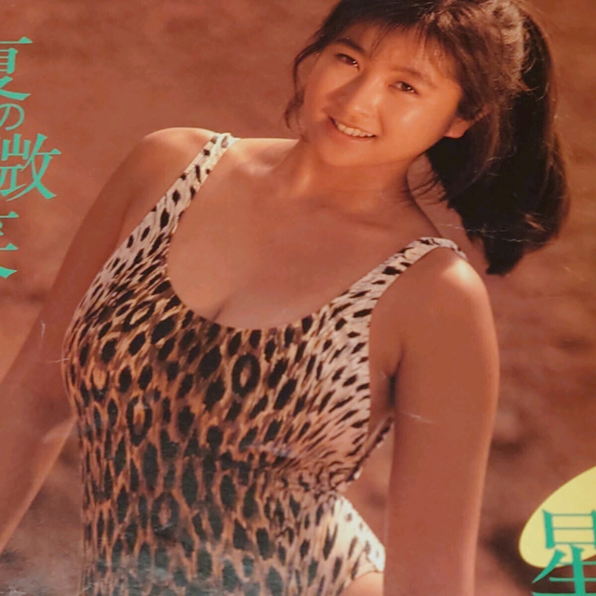 2025年最新】Yahoo!オークション -星野麗子(本、雑誌)の中古品・新品・古本一覧 2025年最新】Yahoo!オークション -星野麗子(本、雑誌)の中古品・新品・古本一覧