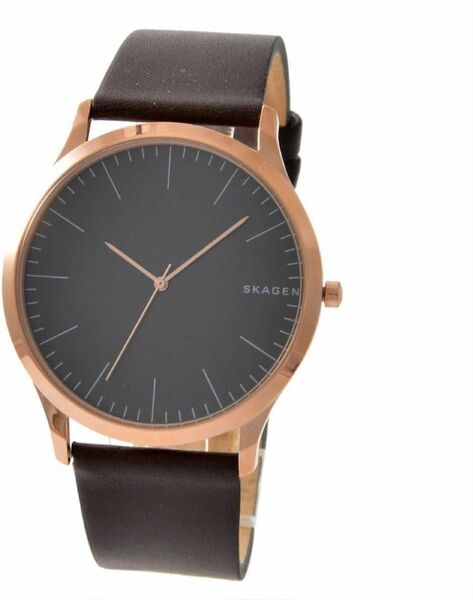 【新品・未使用】スカーゲン SKAGEN ジョーン 腕時計 #SKW6330