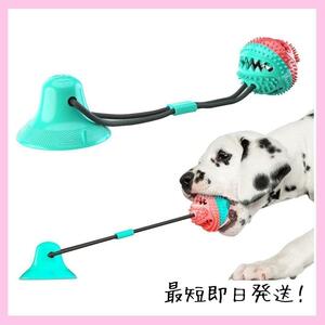 犬 噛む 玩具 多機能 犬用ロープ 運動 おやつ 綱引き ボール 犬 知育