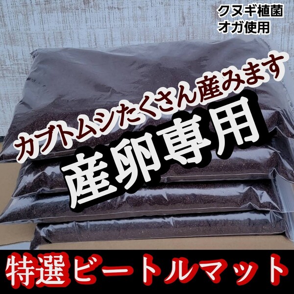 カブトムシの産卵専用 特選ビートルマット【20L】オガを植菌で朽ちらせ室内で完熟発酵!添加剤少なめで産卵意欲が高まり多産へと導きます