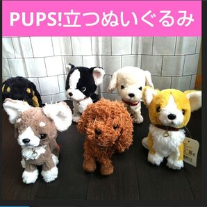 PUPS!★立つ、おすわり、ふせができる 可愛いワンワンぬいぐるみ★6個まとめ売り
