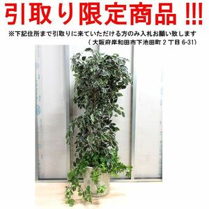 ■dn752■即決◇人工観葉植物 イミテーショングリーン 37584円相当 ※展示品【引取限定】【シンオク】【引取限定】