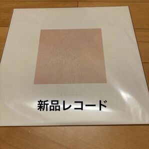 Haruka Nakamura レコード　スティルライフ　2 ハルカナカムラ　nujabes LP