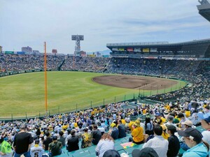 [ through . side ] Hanshin VS Seibu 6 month 9 day ( day ) 6/9( day ) 3. Alps adult 1 sheets 