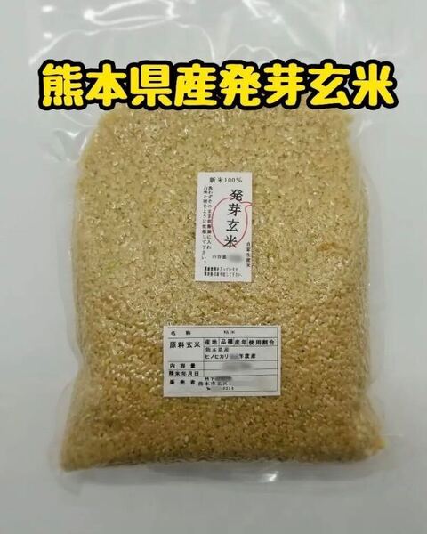 熊本県産 令和5年新米100% 発芽玄米 2kg ヒノヒカリ