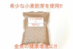 健康増進の金魚のエサ 真空パックミシロ彩金魚胚芽育成用SS　沈下性 250ｇ らんちゅう・土佐金・オランダ・東錦にも最適な金魚の餌