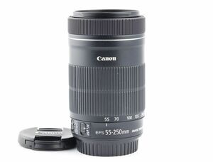 07378cmrk Canon EF-S 55-250mm F4-5.6 IS STM seeing at distance zoom lens APS-C for EF-S EF mount 