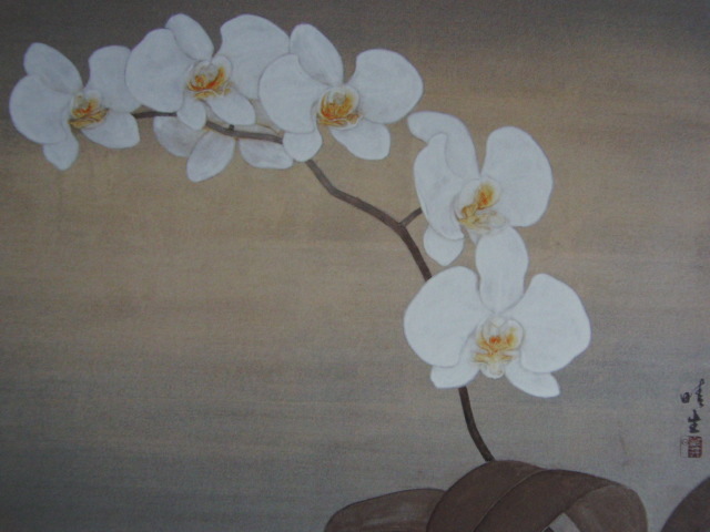 Haruo Takano, 【Orchidée Phalaenopsis】, Extrait d'un rare livre d'art encadré, Bonne condition, Tout neuf avec cadre, peintre japonais, frais de port inclus, peinture, peinture à l'huile, Nature, Peinture de paysage