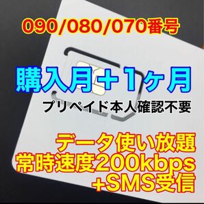 SMS受信可能 データ通信使い放題SIMカード プリペイドSIM