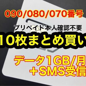 10枚セット データ通信1GB/月 SMS受信可能SIMカード プリペイドSIM