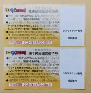 在庫あり ★取引ナビにて番号通知★ 株主映画鑑賞優待券 １０９シネマズ ムービル２枚 24年11月期限【0523】 