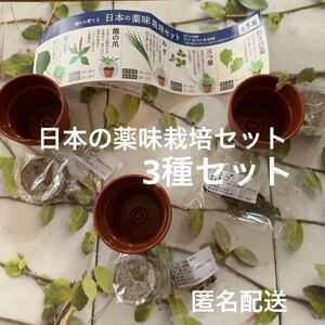 日本の薬味栽培セット　3種セット　送料無料　匿名配送