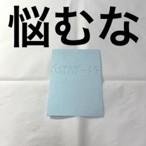 バイオハザード4 ※メモ用紙に書いた私の美字とアドバイス(PS2とPS3、PS4、Wii、ゲームキューブ、switch対応可)
