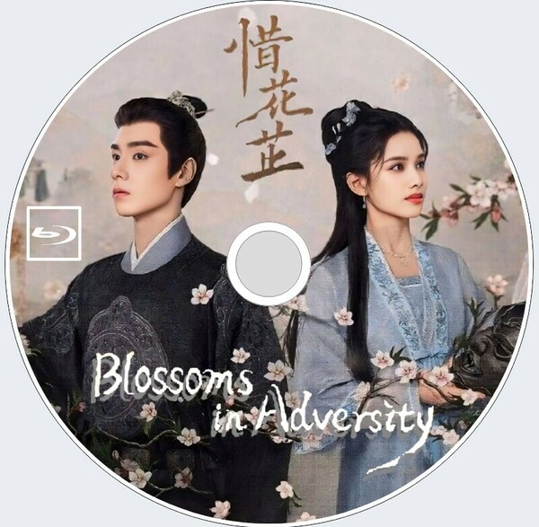 Blossoms in Adversity（自動翻訳）『マメ』中国ドラマ『ame』フー・イーティエン、チャン・ジンイー　Blu-ray　