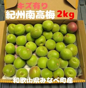 キズあり 紀州南高梅 青梅 2kg L～3Lサイズ 大小混合 和歌山県みなべ町産