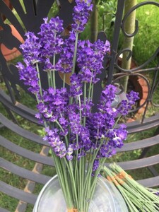  lease . herbarium. material for flower arrangement also optimum lavender . purple ( dry flower )1 bundle ( postage =220 jpy degree )