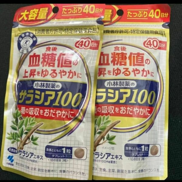 [最終] 小林製薬 サラシア100 40日分　2袋セット