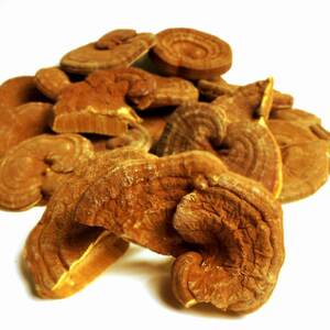  domestic production with translation bracket fungus supplement supplement 1kg health food ...