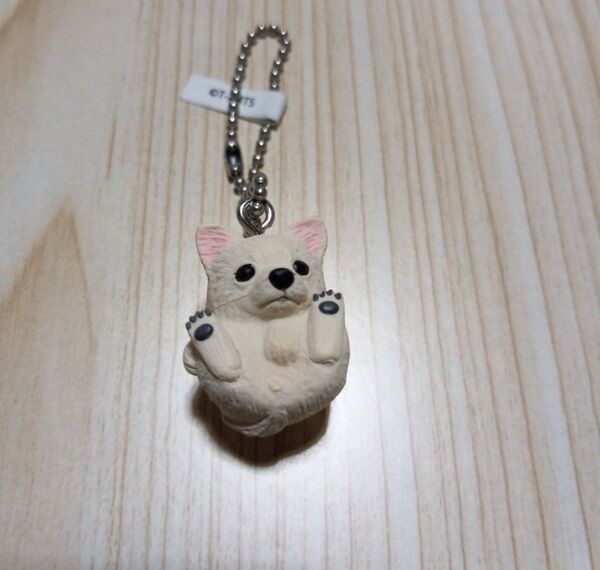 まんまる犬マスコット チワワ キーホルダー①