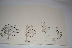 Vintage Stationary Set Trees Notes Cards and Envelopes 海外 即決