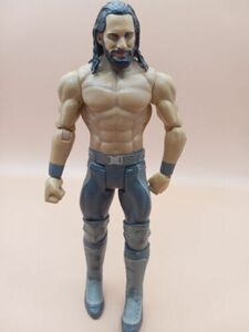 2017Mattel WWE Seth Rollins Action Figure Wrestling 海外 即決