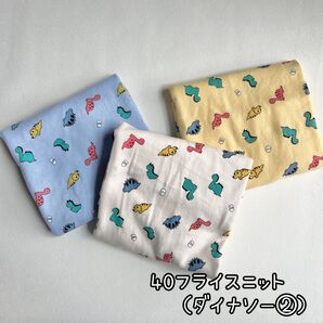 40フライスニット生地(ダイナソー②) 3色から選択 韓国生地