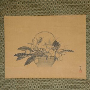 【真作】 蔵壷◆『猗蘭子 枇杷之図』 1幅 共箱 古筆 古文書 古書 日本画 花鳥画 茶掛軸