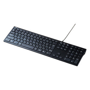  summarize profit Sanwa Supply USB slim keyboard black SKB-SL33BK x [2 piece ] /l