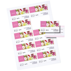 【20シート200カード入×5セット】 サンワサプライ インクジェット名刺カード・光沢(ミシン目、A4、10面) JP-MC13KX5 /l
