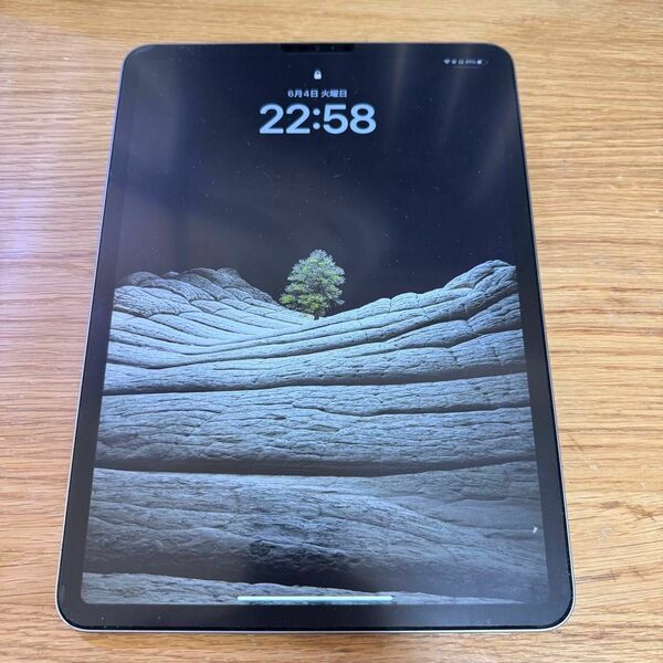 iPad pro 第４世代　256GB スペースグレイ　傷無し　付属品全て新品